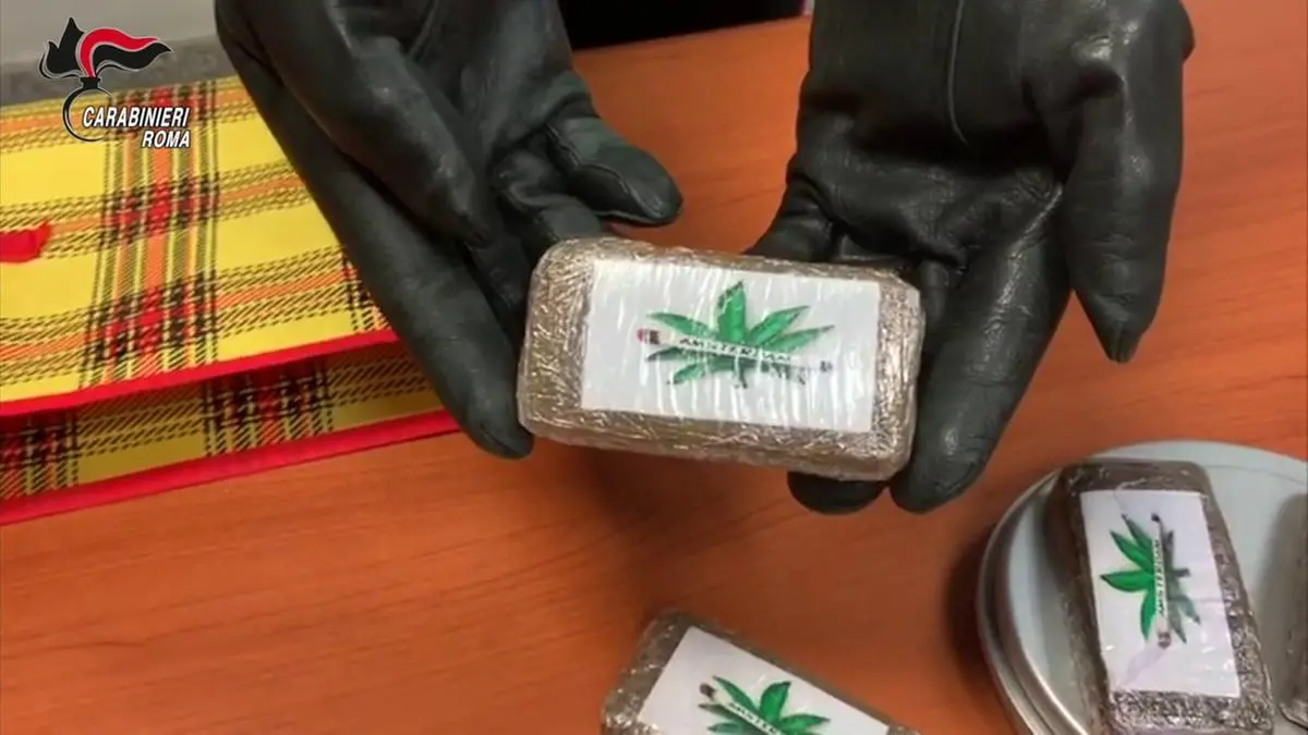 https://images.class.atexcloud.io/view/acePublic/alias/contentid/3acc5071-9c15-45c6-af46-04267d732563/0/la-droga-per-natale-arriva-da-amsterdam.webp